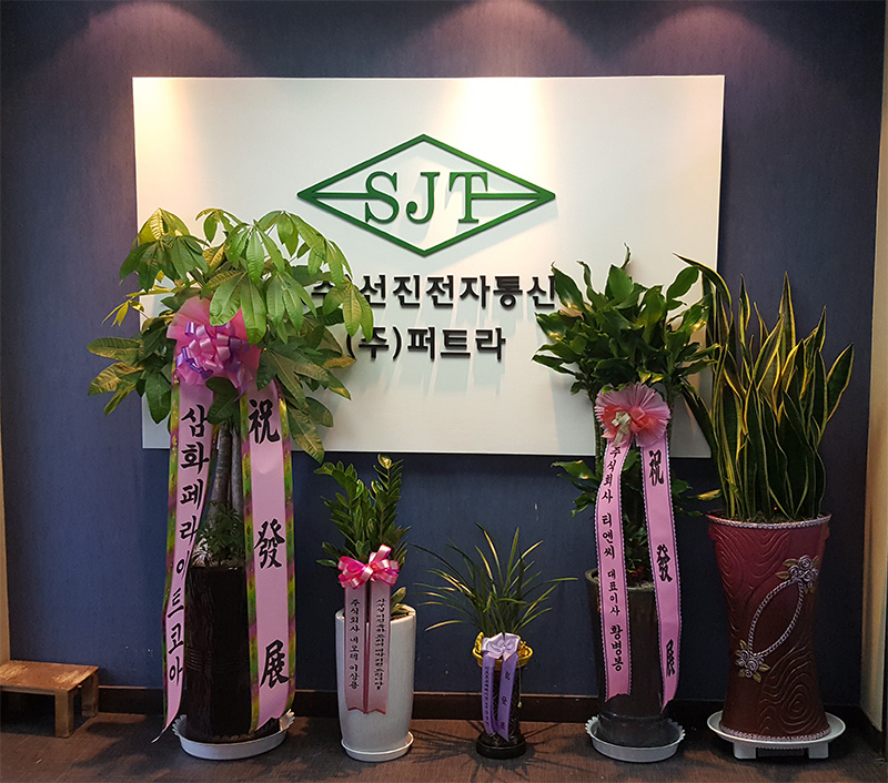 현관800